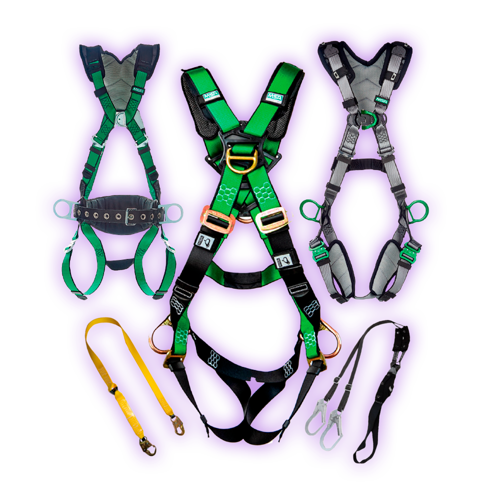 Odoo • Texto e imagen