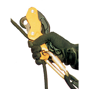 [SDSD25] DESCENDEDOR ANTHRON